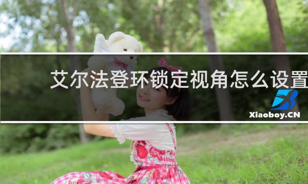 艾尔法登环锁定视角怎么设置