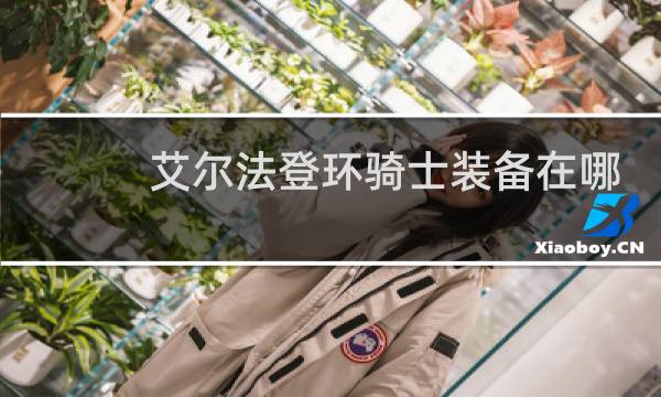 艾尔法登环骑士装备在哪