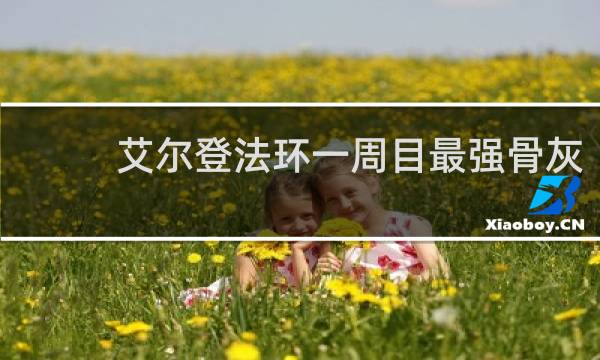艾尔登法环一周目最强骨灰