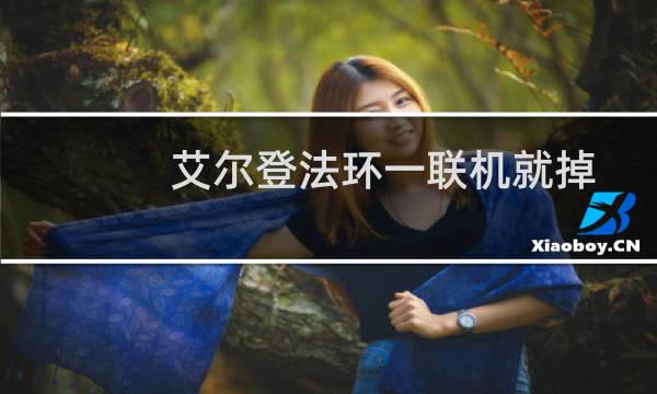 艾尔登法环一联机就掉