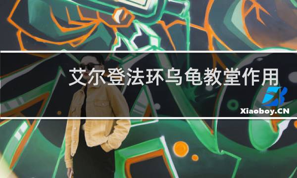 艾尔登法环乌龟教堂作用