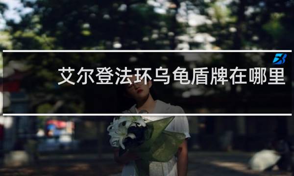 艾尔登法环乌龟盾牌在哪里