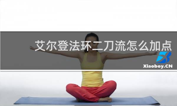 艾尔登法环二刀流怎么加点