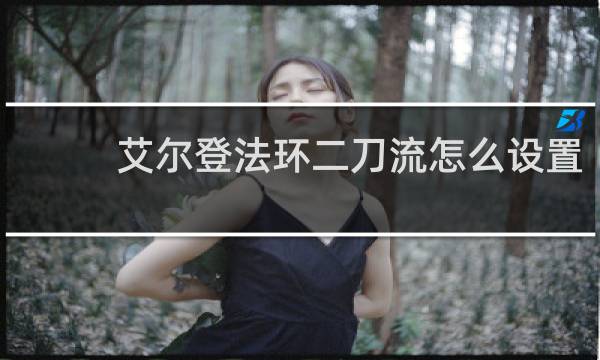 艾尔登法环二刀流怎么设置