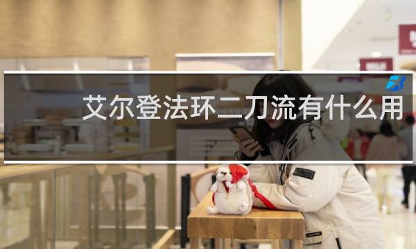 艾尔登法环二刀流有什么用