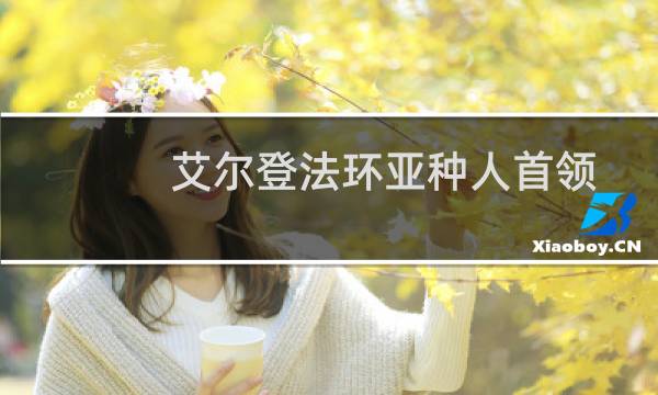 艾尔登法环亚种人首领