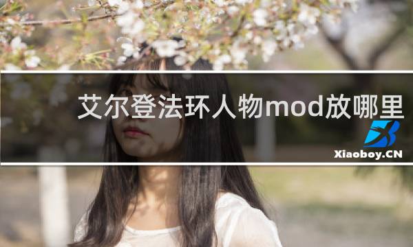 艾尔登法环人物mod放哪里