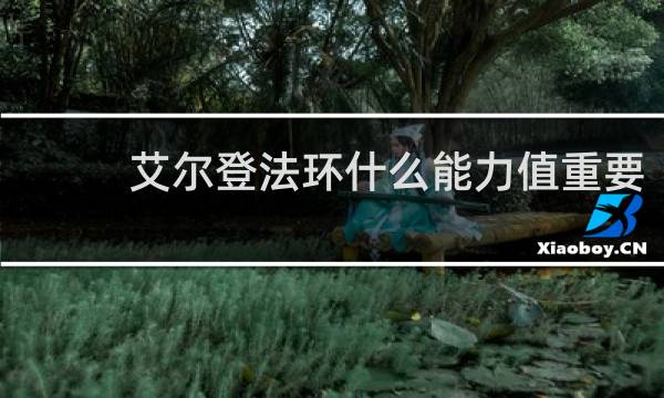 艾尔登法环什么能力值重要