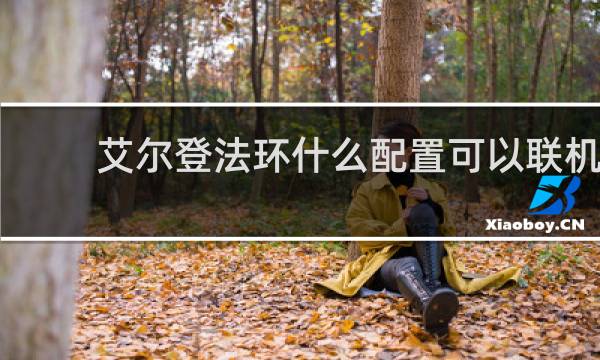 艾尔登法环什么配置可以联机