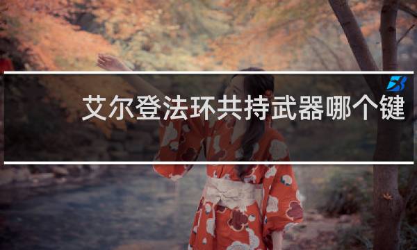 艾尔登法环共持武器哪个键