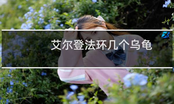艾尔登法环几个乌龟