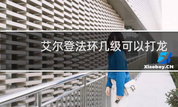 艾尔登法环几级可以打龙