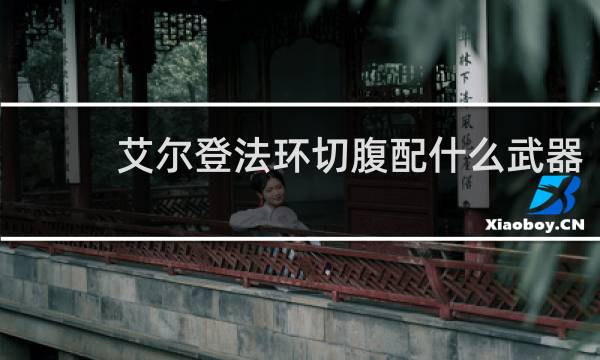 艾尔登法环切腹配什么武器