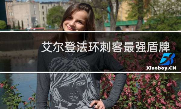 艾尔登法环刺客最强盾牌