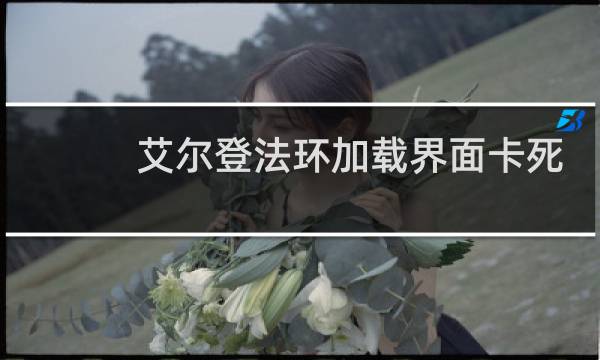 艾尔登法环加载界面卡死