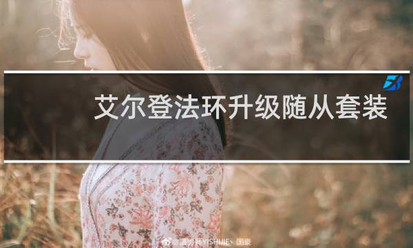 艾尔登法环升级随从套装