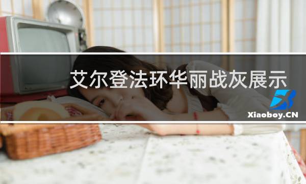 艾尔登法环华丽战灰展示