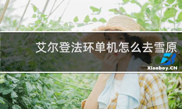 艾尔登法环单机怎么去雪原