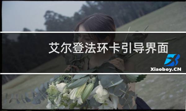 艾尔登法环卡引导界面