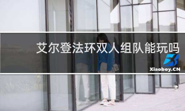 艾尔登法环双人组队能玩吗