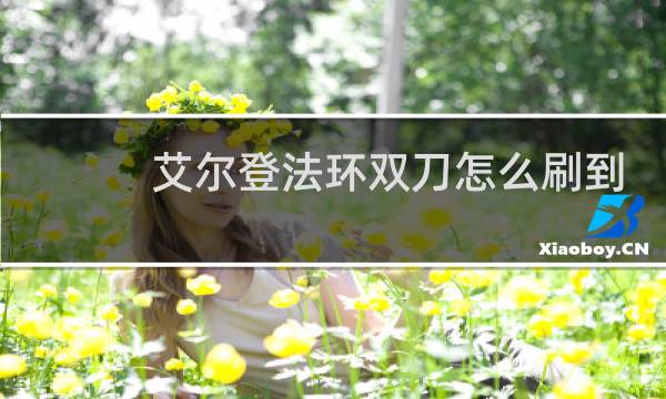 艾尔登法环双刀怎么刷到