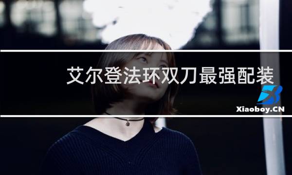 艾尔登法环双刀最强配装