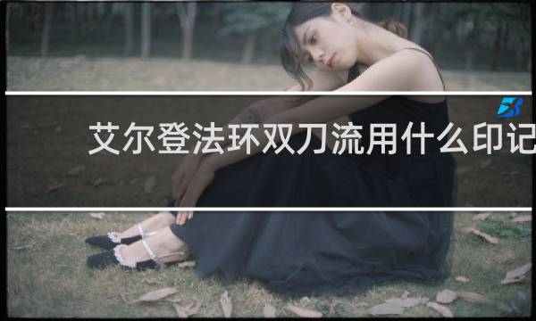 艾尔登法环双刀流用什么印记