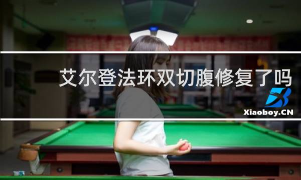 艾尔登法环双切腹修复了吗