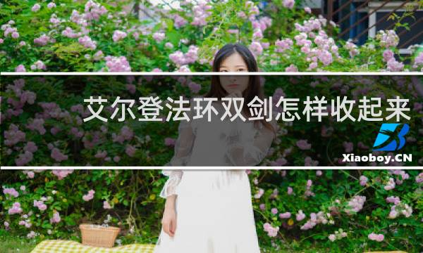 艾尔登法环双剑怎样收起来