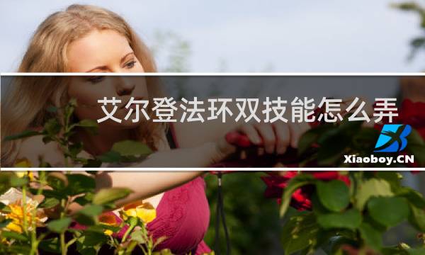 艾尔登法环双技能怎么弄