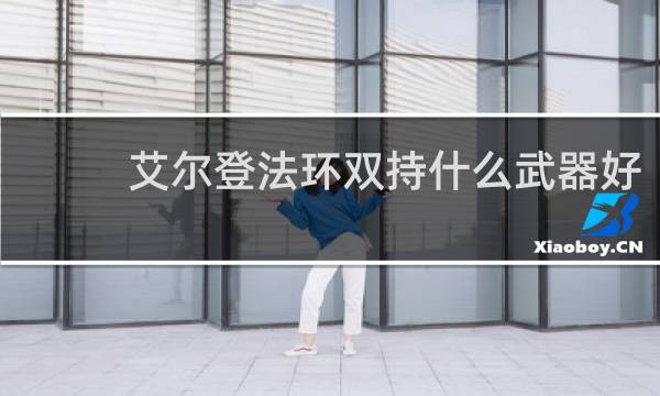 艾尔登法环双持什么武器好
