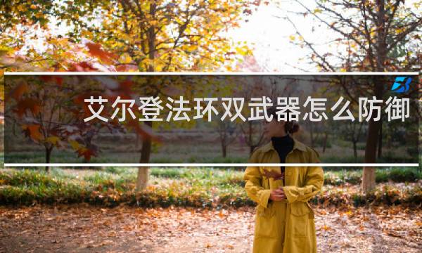 艾尔登法环双武器怎么防御