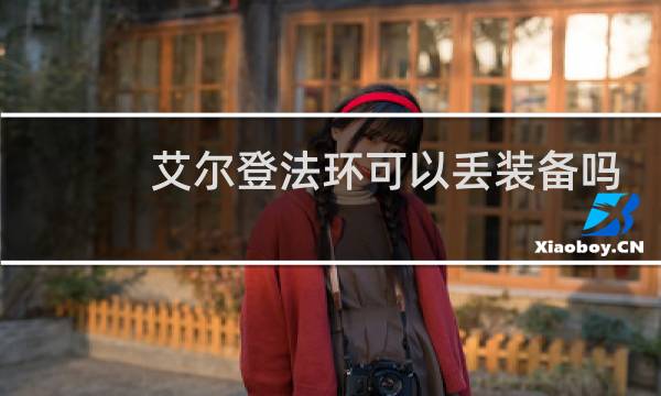 艾尔登法环可以丢装备吗