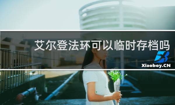 艾尔登法环可以临时存档吗