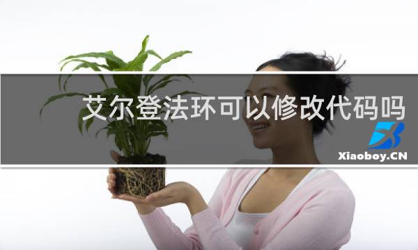 艾尔登法环可以修改代码吗