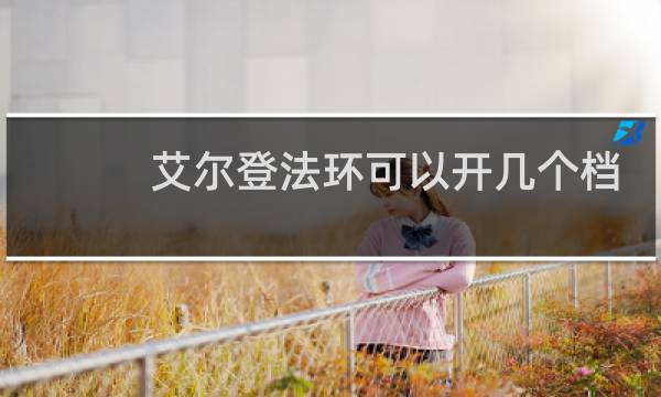 艾尔登法环可以开几个档