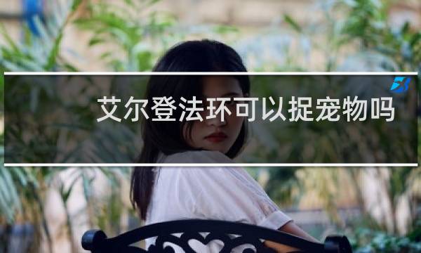 艾尔登法环可以捉宠物吗