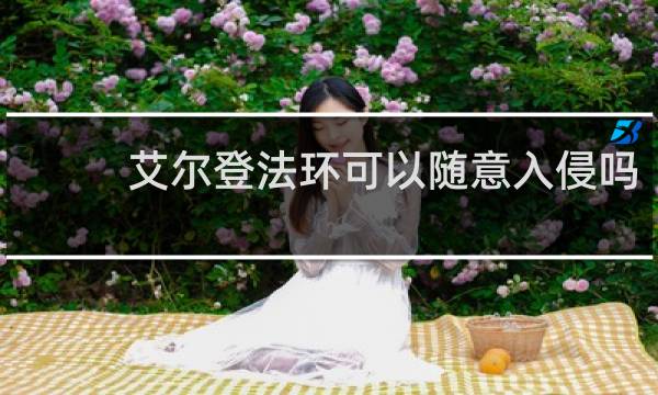 艾尔登法环可以随意入侵吗