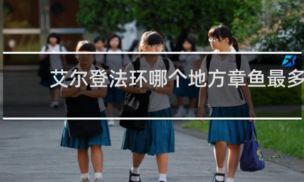 艾尔登法环哪个地方章鱼最多