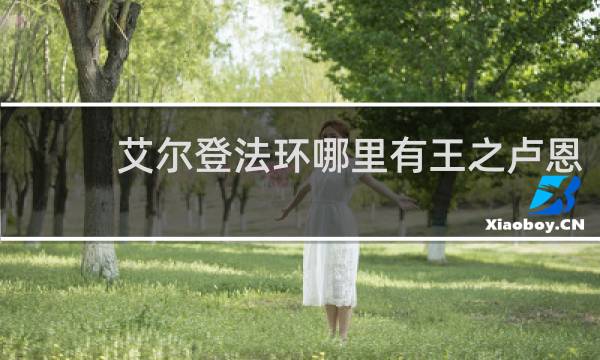 艾尔登法环哪里有王之卢恩