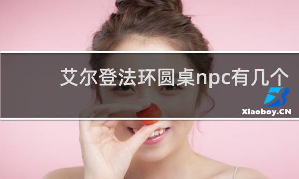 艾尔登法环圆桌npc有几个