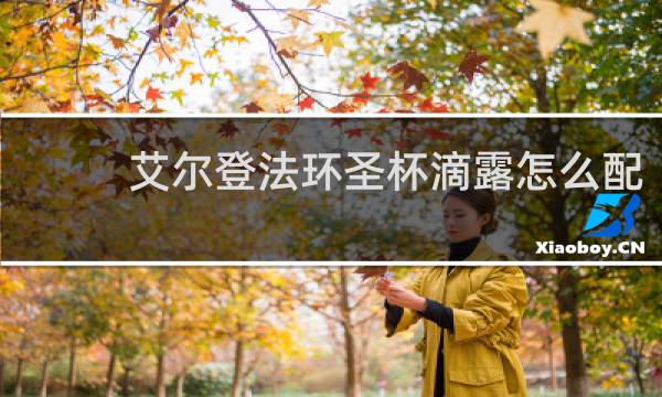 艾尔登法环圣杯滴露怎么配