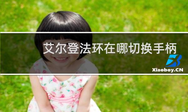 艾尔登法环在哪切换手柄