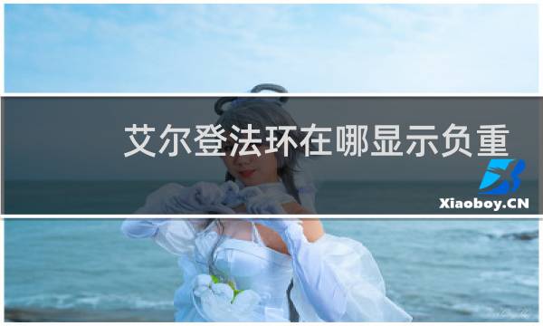 艾尔登法环在哪显示负重