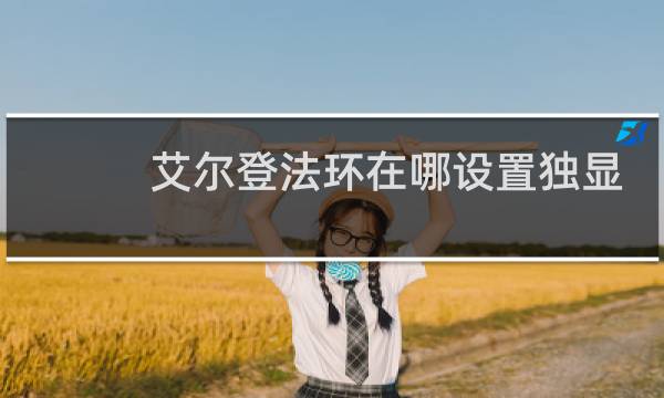 艾尔登法环在哪设置独显