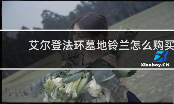 艾尔登法环墓地铃兰怎么购买