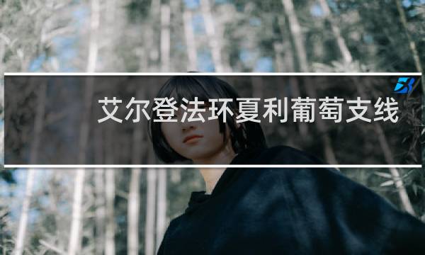 艾尔登法环夏利葡萄支线