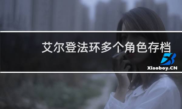 艾尔登法环多个角色存档