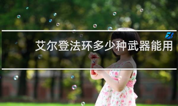 艾尔登法环多少种武器能用