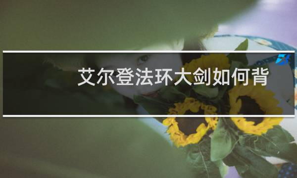 艾尔登法环大剑如何背